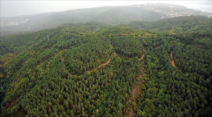 Tarım ve orman alanında yeni düzenleme