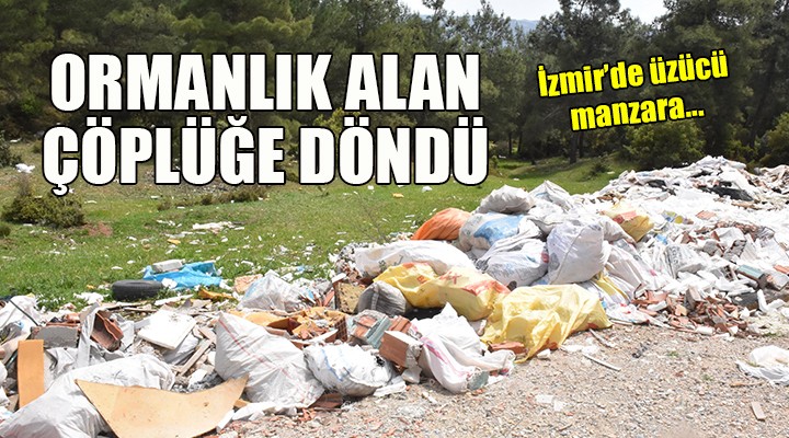 Ormanlık alan çöplüğe döndü