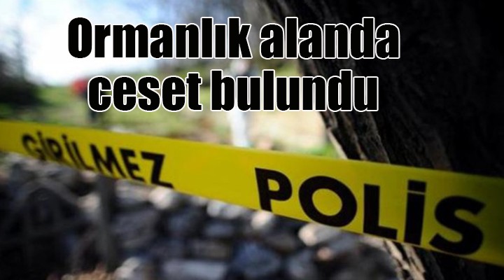 Ormanlık alanda ceset bulundu