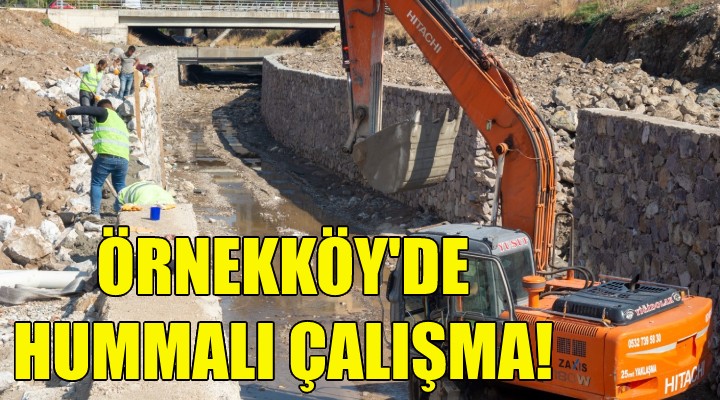 Örnekköy de hummalı çalışma!