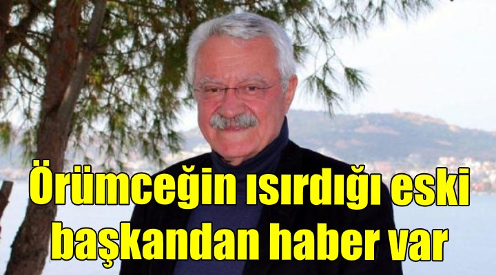 Örümceğin ısırdığı eski başkandan haber var!