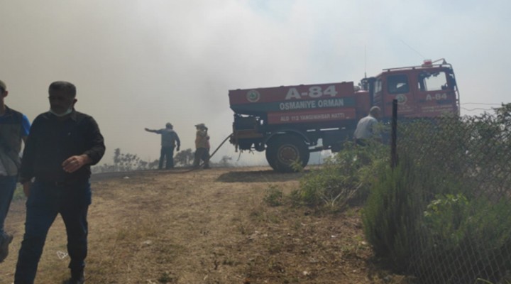 Osmaniye de orman yangını: Evler tahliye edildi
