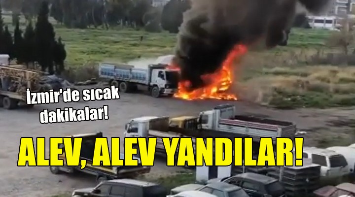 Otoparktaki kamyonlar alev, alev yandı!