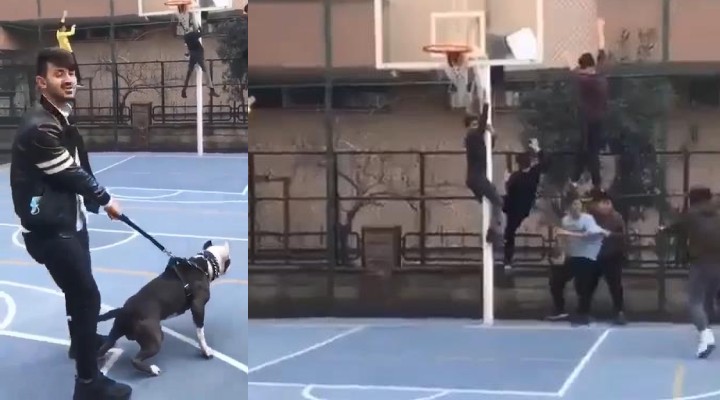 Oyun oynayan çocukların üzerine pitbull saldı!