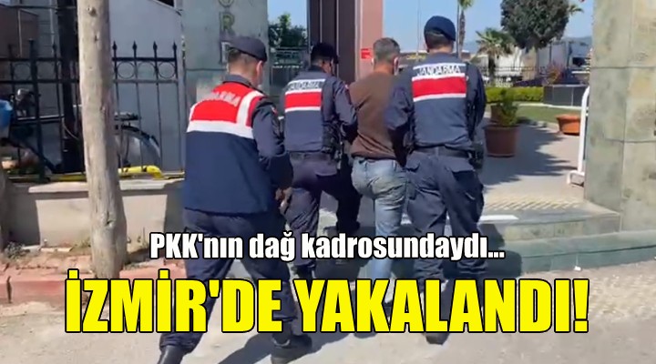 PKK nın dağ kadrosundaydı... İzmir de yakalandı!