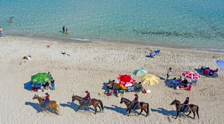 PLAJDA AT DEVRİ!