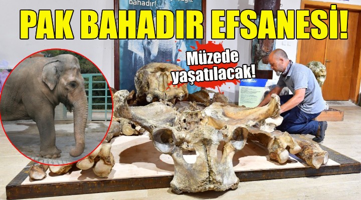 Pak Bahadır efsanesi müzede yaşatılacak!