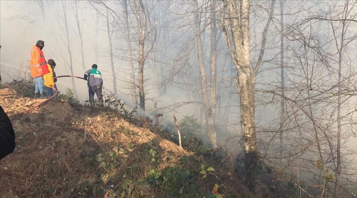 Pakdemirli den Karadeniz deki yangınlarla ilgili açıklama