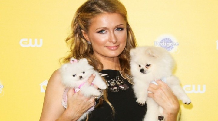 Paris Hilton:  Hala bunlarla ilgili kabuslar görüyorum 