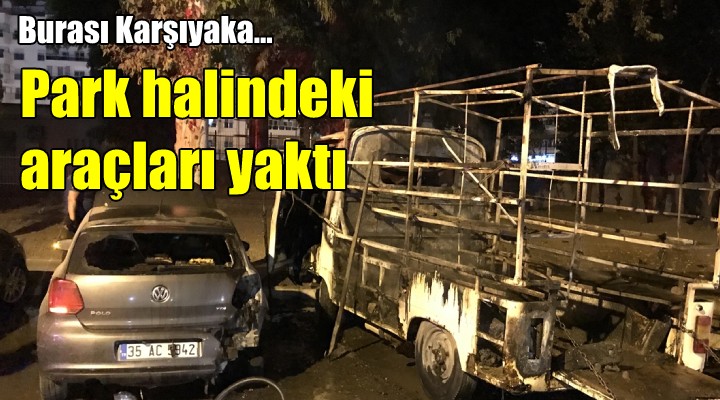 Park halindeki araçları yaktı!