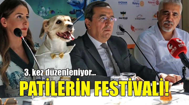 Patilerin Festivali için geri sayım!