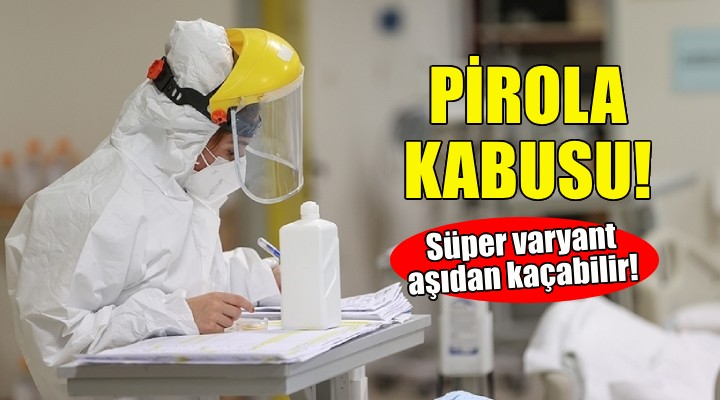 Pirola kabusu... Aşıdan kaçabilir!