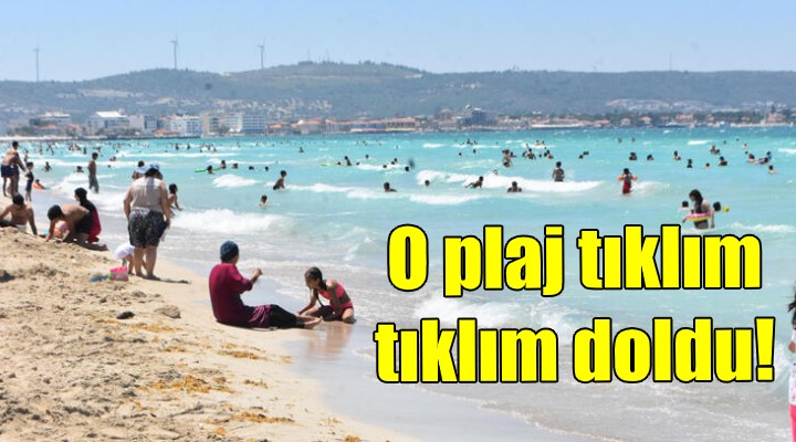 Plaj tıklım tıklım doldu!