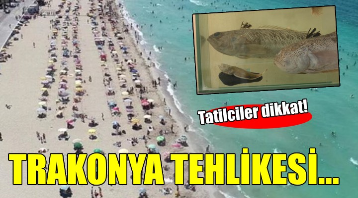 Plajlarda trakonya tehlikesi...