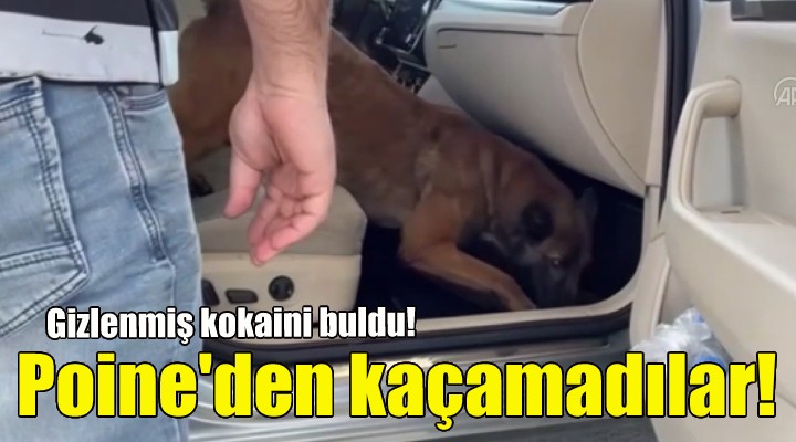 Poine den kaçamadılar... Gizlenmiş kokaini buldu!