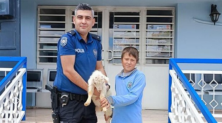 Polis, 2 çocuğa kuzu sevinci yaşattı