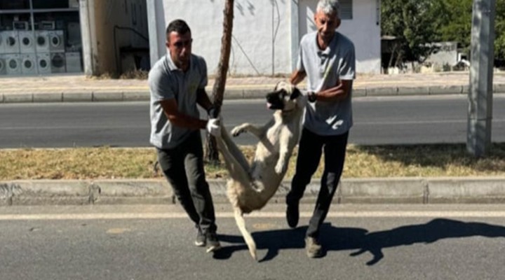 Resmi Gazete de yayımlanmadan harekete geçildi!