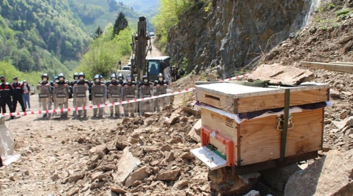 Rize de taş ocağına karşı direniş: Halk arı kovanları ile yolu kesti