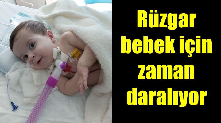 Rüzgar bebek için zaman daralıyor