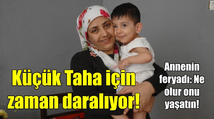 SMA lı Taha için zaman daralıyor!