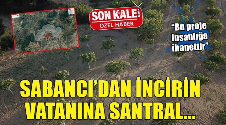 Sabancı dan incirin vatanına santral...