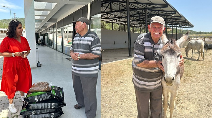 Sahipsiz kediler için anlamlı bağış