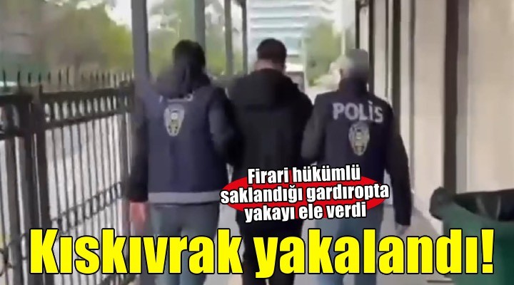 Saklandığı gardıropta kıskıvrak yakalandı!