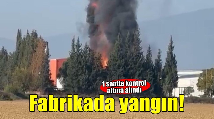Salça fabrikasında çıkan yangın, 1 saatte kontrol altına alındı