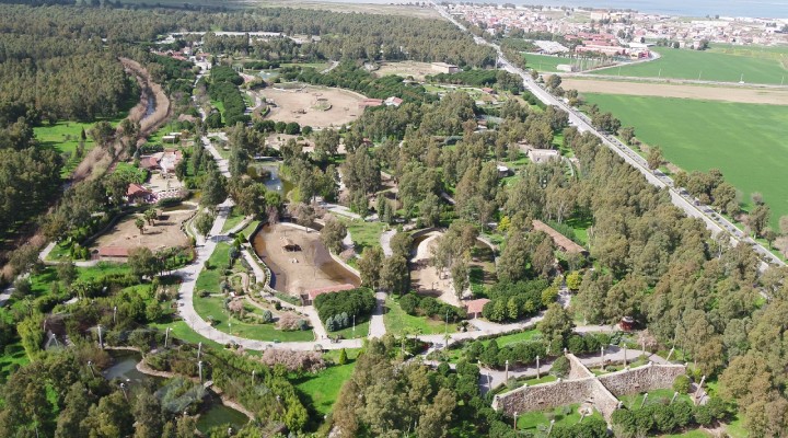 Sasalı Doğal Yaşam Parkı yeniden açılıyor