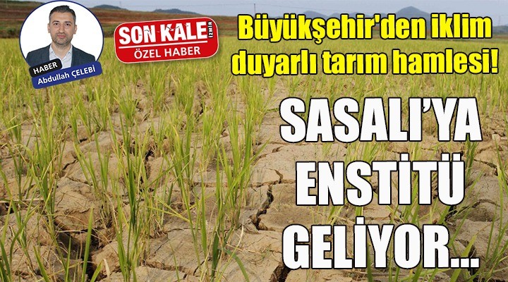 Sasalı ya enstitü geliyor... Büyükşehir den iklim duyarlı tarım hamlesi!