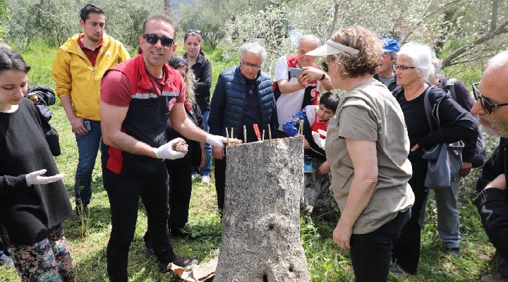 Seferihisar Belediyesi ve İlçe Tarım’dan Müdürlüğü nden Uygulamalı Eğitim