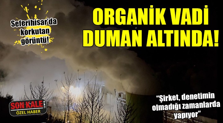 Seferihisar Orhanlı duman altında!