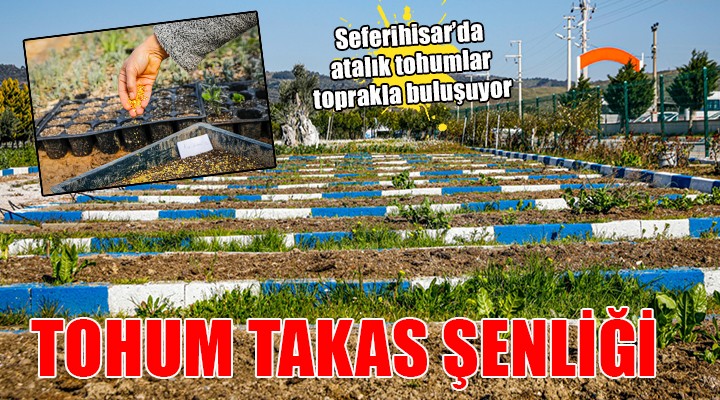 Seferihisar da  Tohum Takas Şenliği 