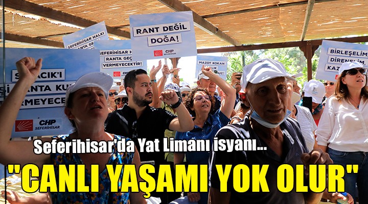 Seferihisar da Yat Limanı isyanı...  CANLI YAŞAMI YOK OLUR 