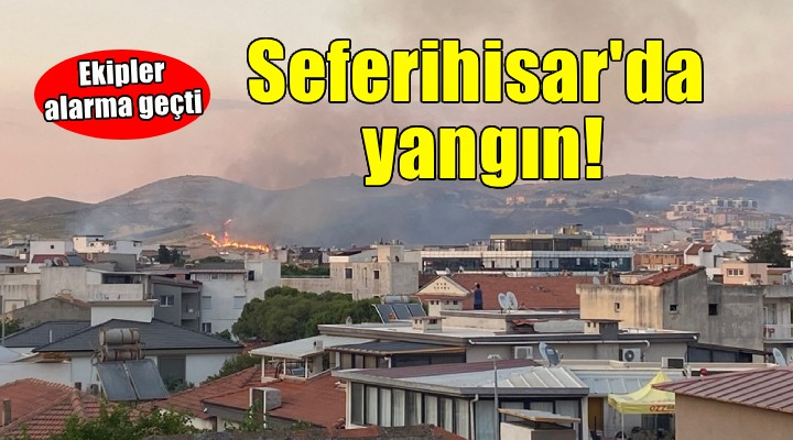 Seferihisar'da makilik alanda yangın!