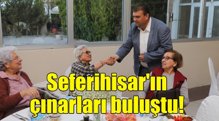 Seferihisar ın çınarları buluştu!