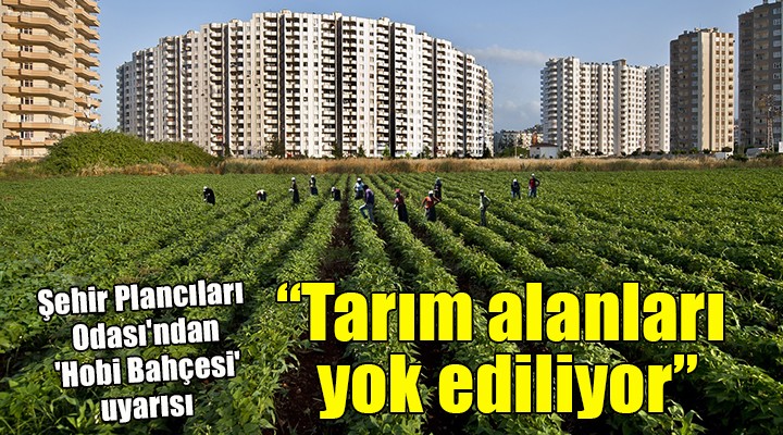 Şehir Plancıları Odası ndan  Hobi Bahçesi  uyarısı:  Tarım alanlarımız yok ediliyor 