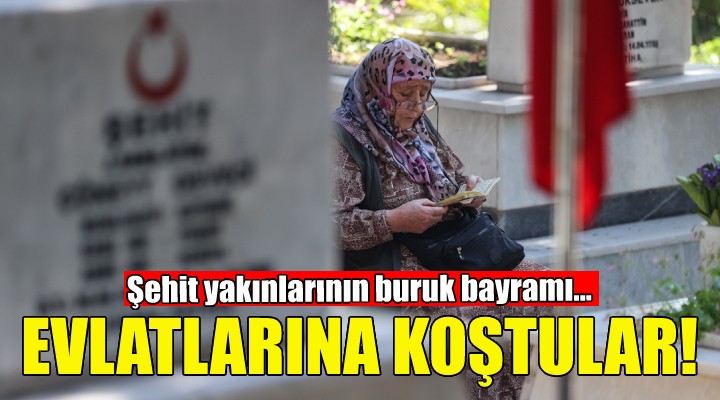 Şehit aileleri evlatlarına koştu!