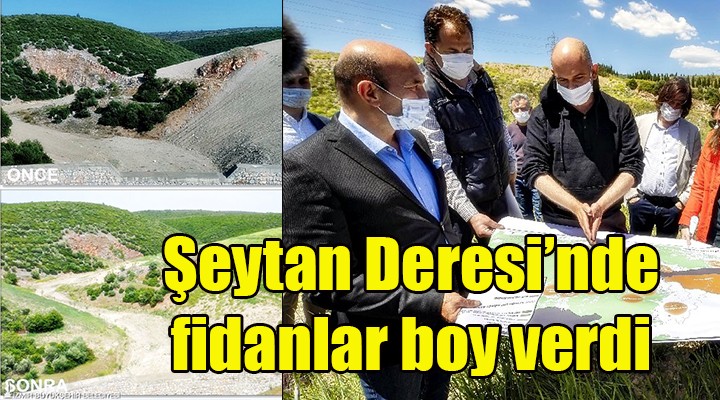 Şeytan Deresi’nde fidanlar boy verdi