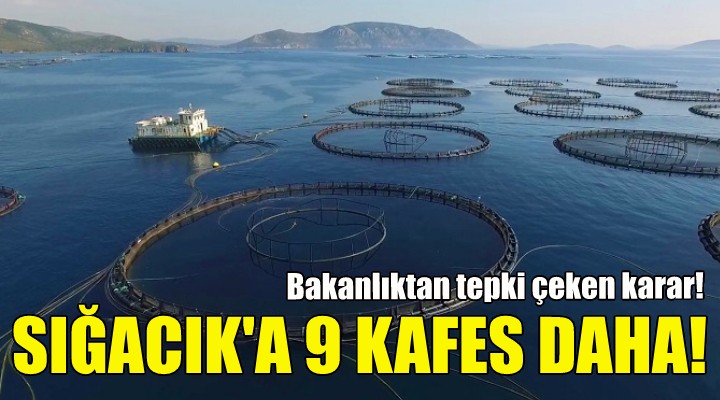 Sığacık Körfezi ne 9 kafes daha!