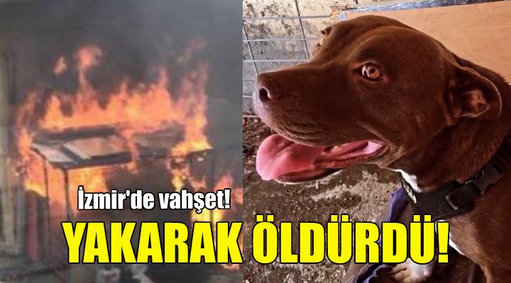 Şila yı yakarak öldürdü!