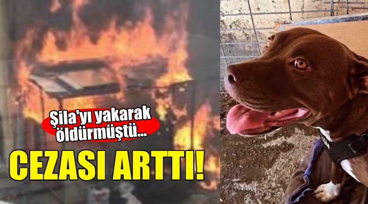 Şila yı yakarak öldürmüştü... Cezası arttı!