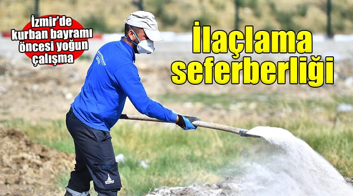 Sinek ve haşerelere karşı aralıksız mücadele...