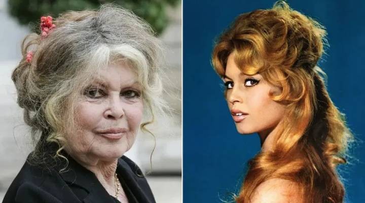 Sinemanın efsane yüzü Brigitte Bardot’tan acı haber!