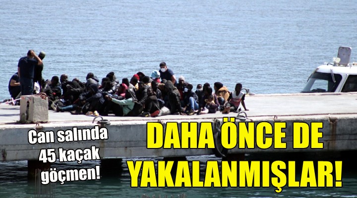 Sınır dışı edilen göçmenler yine kaçak geçişte yakalandı!