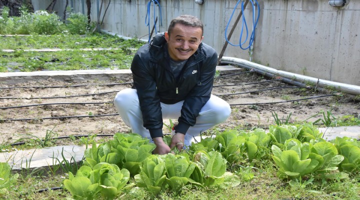 Siyaseti bıraktı, tavuk besliyor