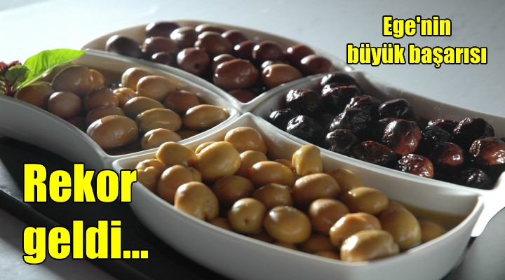 Sofralık zeytin ihracatında rekor