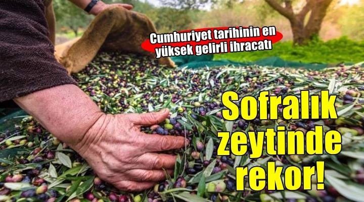 Sofralık zeytin ihracatında rekor kırıldı