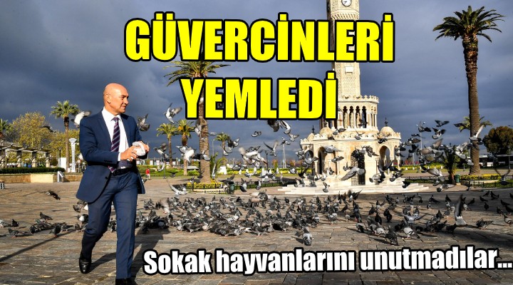 Sokak hayvanları unutulmadı