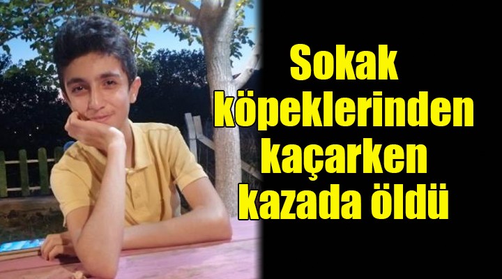 Sokak köpeklerinden kaçarken kazada öldü